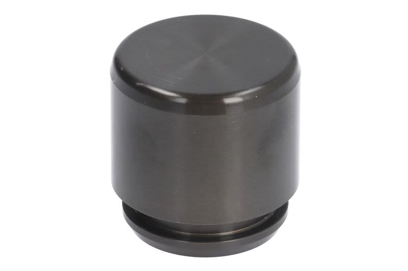 Pistón de cáliper de freno AUTOFREN SEINSA D025613 para Volvo S60 I