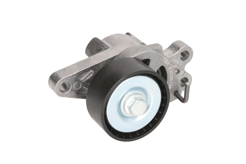 Polea tensora de correa multicanal BTA E3C0013BTA para Peugeot 206