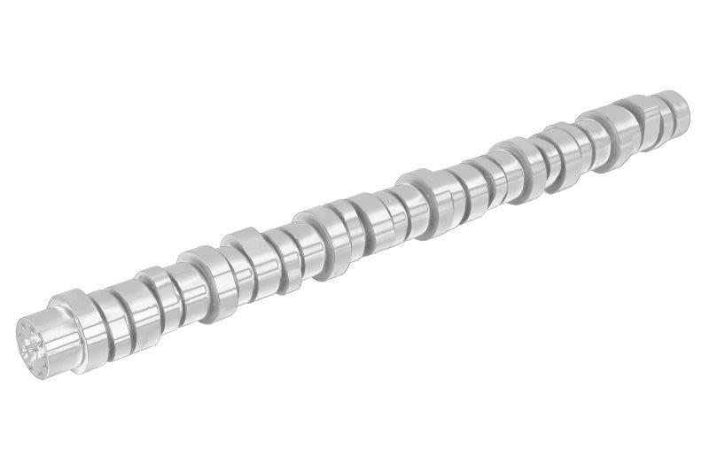 Árbol de levas OE RVI 7422431876 para Volvo FM II