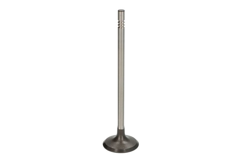 Válvula de admisión TRW 291133 para Opel Corsa E