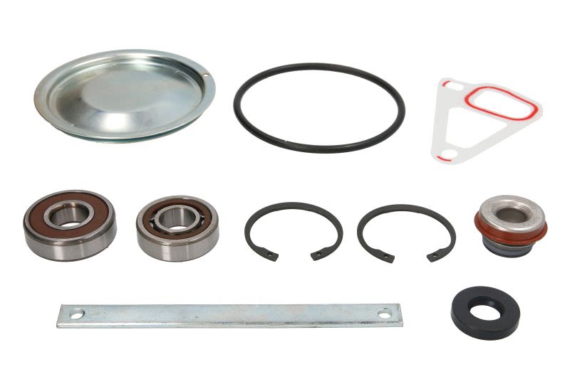 Kit de reparación para bomba de agua OMP 402.284 para Case-Steyr 8060
