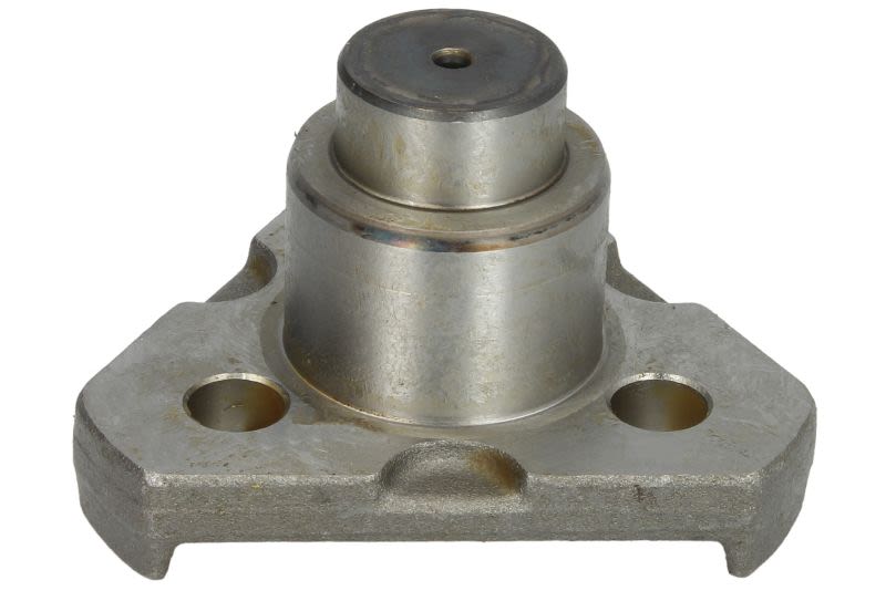 Perno rey CARRARO 123640-CR para Ford 5640