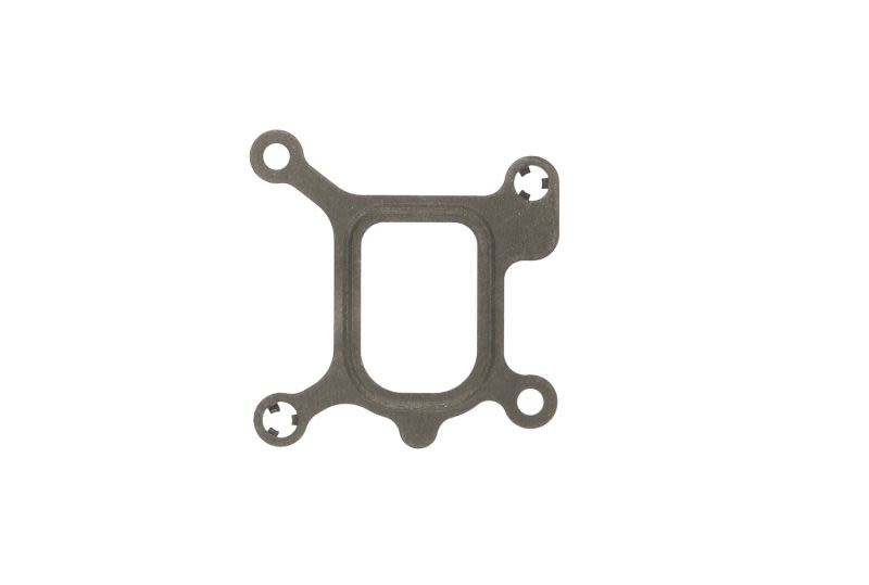 Empaquetadura del termostato REINZ 70-36039-00 para Ford Focus II