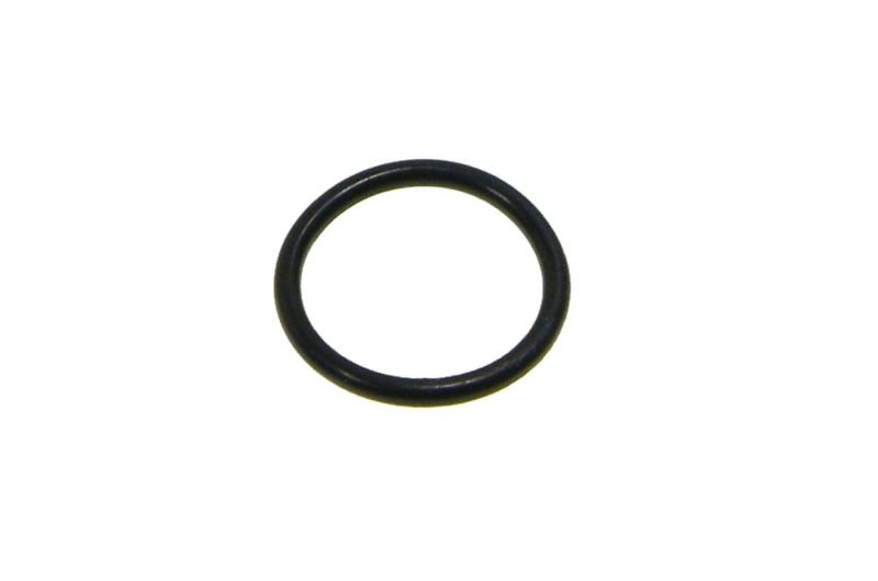 O-ring EURORICAMBI
