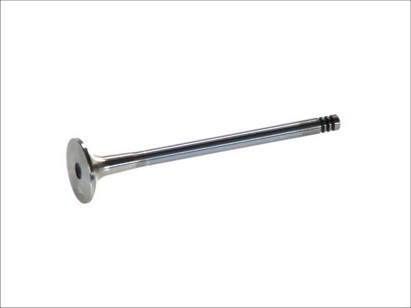Válvula de escape FRECCIA R6086/BMARCR para Audi A4 B5