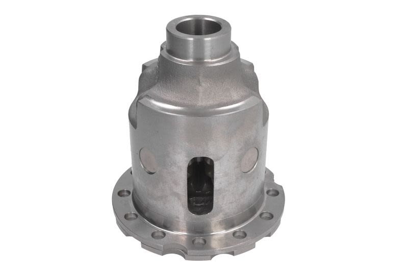 Engranaje de diferencial ZF
