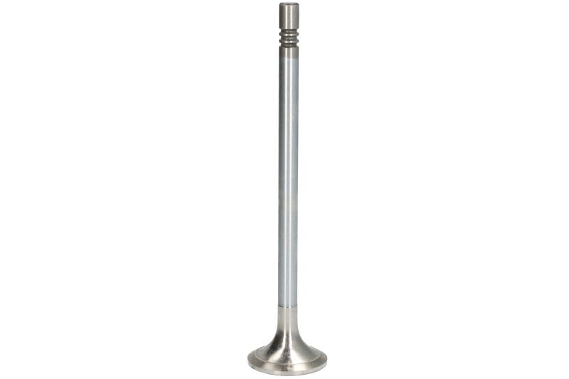 Válvula de escape MAHLE 099 VA 31777 000 para Ammann ARS200