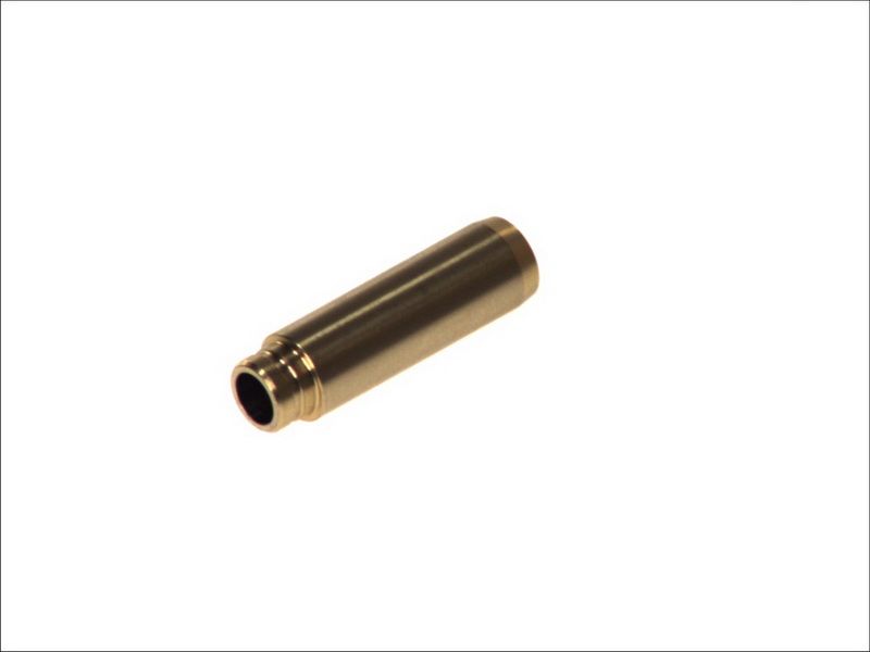 Guía de válvula FRECCIA G3466 para Renault Clio I