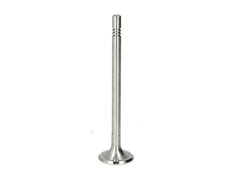 Válvula de escape FRECCIA R6691/R para Audi A3