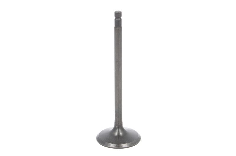 Válvula de admisión FRECCIA R6615/SNT para Mazda CX-7