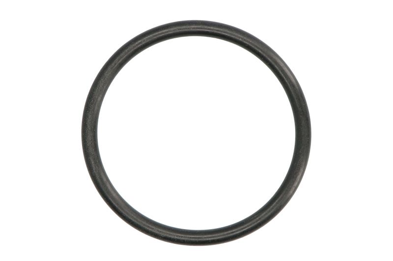 Empaquetadura de bomba de agua LEMA 108087 para Volvo FM