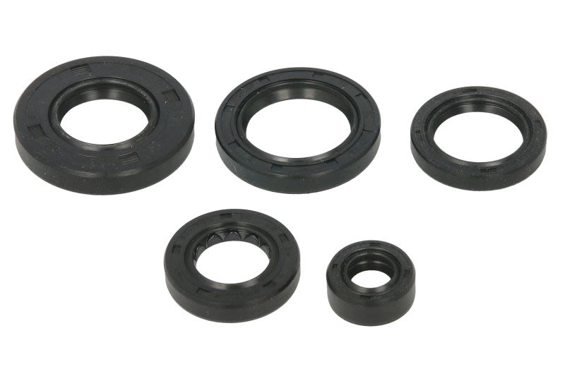 Juego de retenes de motor WINDEROSA W822343 para Arctic TRV