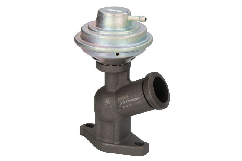 Válvula EGR DELPHI EG10423-12B1 para Citroen C4 I