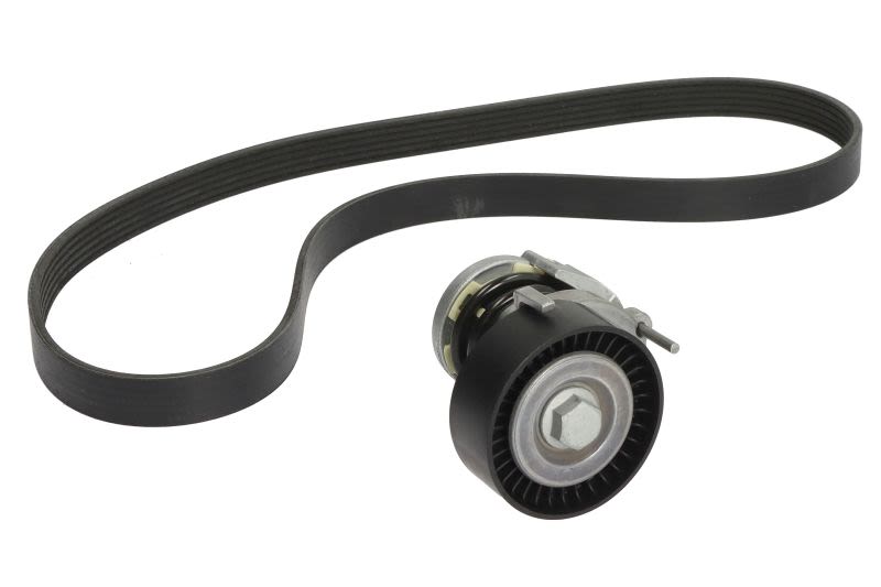 Juego de correa multinervada INA 529 0084 10 para Volkswagen Golf III