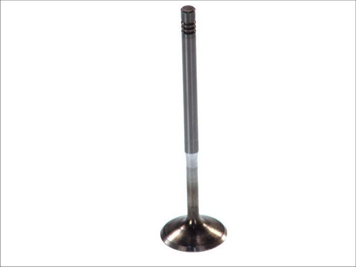 Válvula de admisión AE V94081 para Audi A3