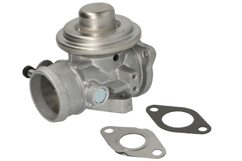 Válvula EGR BORG WARNER 7293D para Volkswagen Golf IV 1.2D/1.4D/1.9D