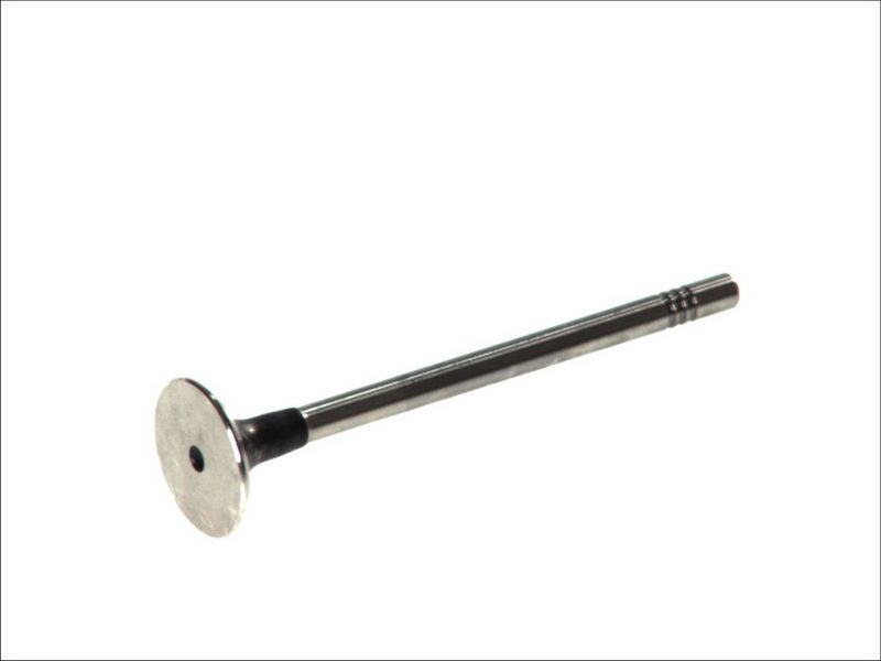 Válvula de escape FRECCIA R6565/BM para Audi A3