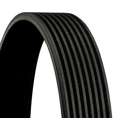 Correa multinervada CONTITECH 8PK1850 para Scania K I