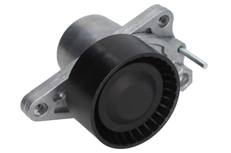 Palanca tensora de correa multicanal BTA E3M0004BTA para Renault Fluence