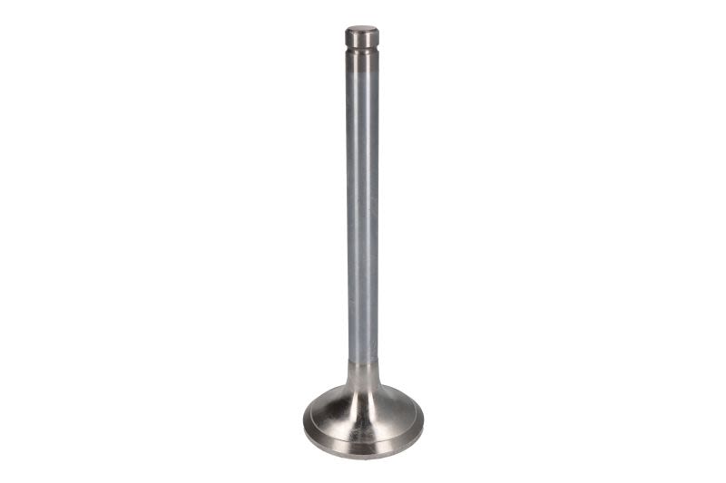 Válvula de escape FRECCIA R6257/BMCR para MAN G