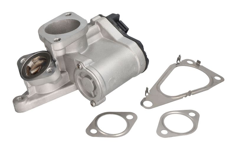 Válvula EGR DELPHI EG10631-12B1 para Renault Megane II
