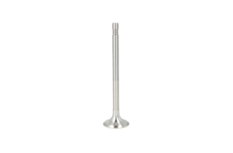 Válvula de escape FRECCIA R6014/BM para Audi A3