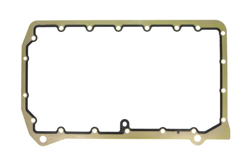 Empaquetadura de cárter de aceite REINZ 71-36219-00 para Rover 75