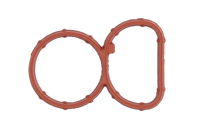 Empaquetadura de múltiple de admisión REINZ 71-39378-00 para BMW Serie 1 (E81) 2006-2011