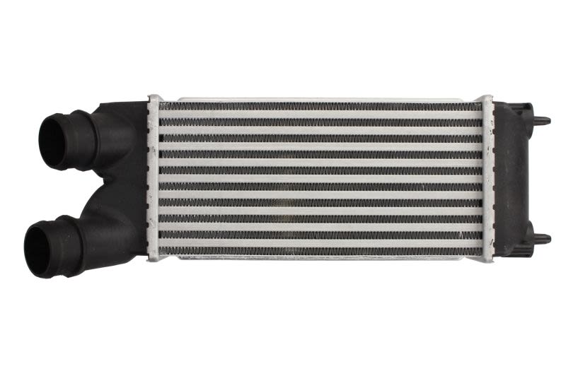 Enfriador de aire de carga (intercooler) THERMOTEC DAC015TT