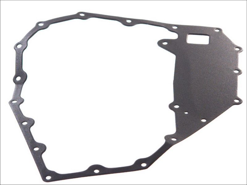 Empaquetadura de tapa de distribución LEMA 23108.05 para Iveco S-Way