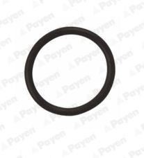 Anillo de retén, tapón de drenaje de aceite PAYEN