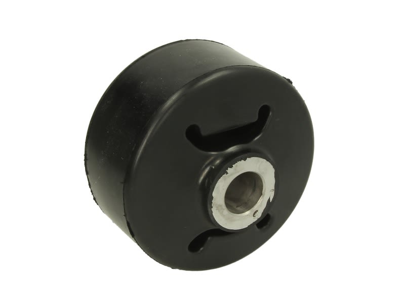 Buje de ballesta S-TR STR-120910 para SAF IO
