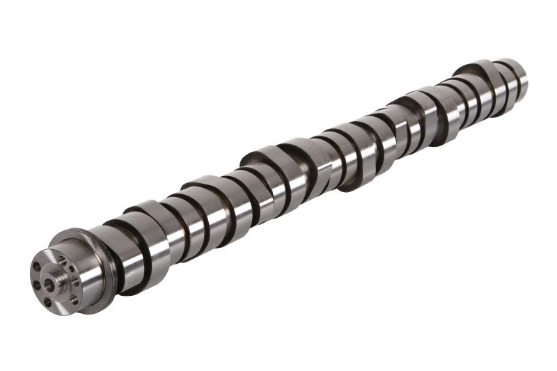 Árbol de levas BF 20100411000 para Volvo FM