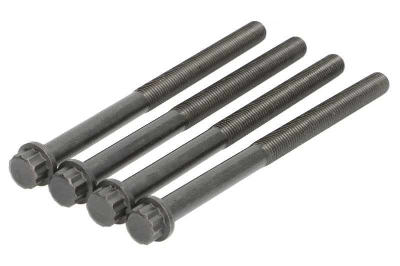 Juego de pernos de culata REINZ 14-32069-01 para Mercedes-Benz LS