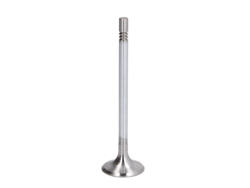 Válvula de admisión FRECCIA R6473/SCR para Mercedes-Benz Clase A (W169) 2004-2012