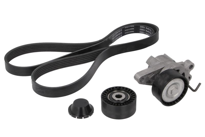 Juego de correa multinervada INA 529 0109 10 para Peugeot 206