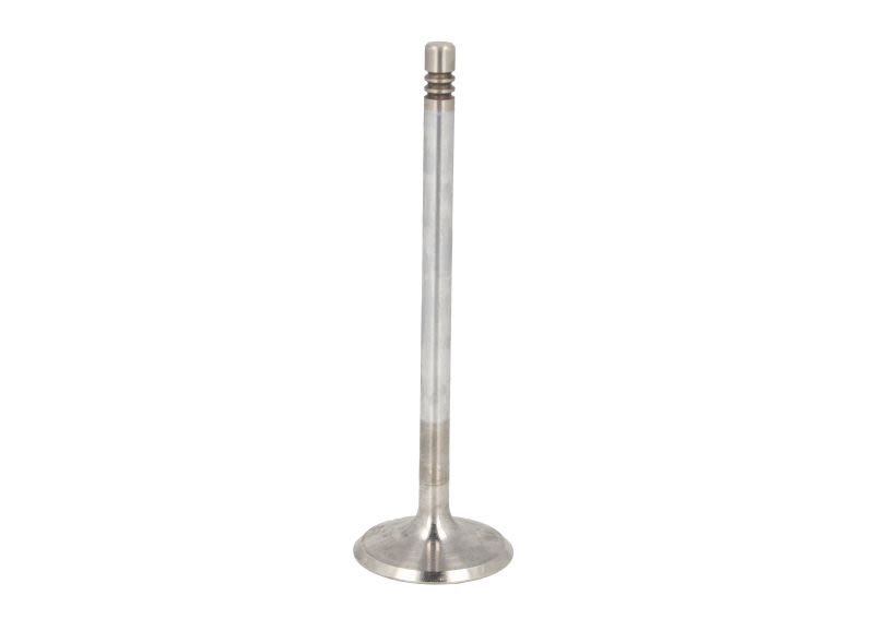 Válvula de admisión FRECCIA R6581/SCR para Audi A6 C6