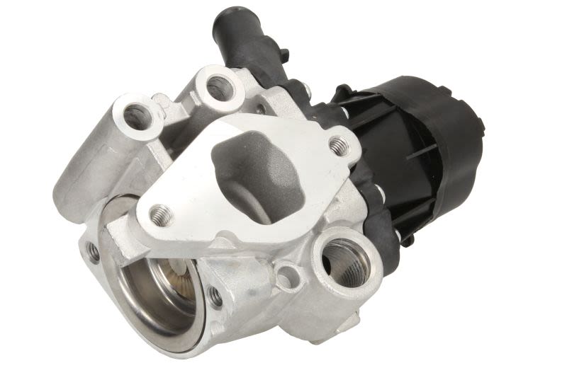 Válvula EGR DELPHI EG10482-12B1 para Iveco Daily V