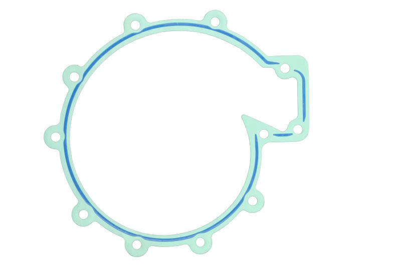 Empaquetadura de bomba de agua LEMA 24500.58 para DAF 75