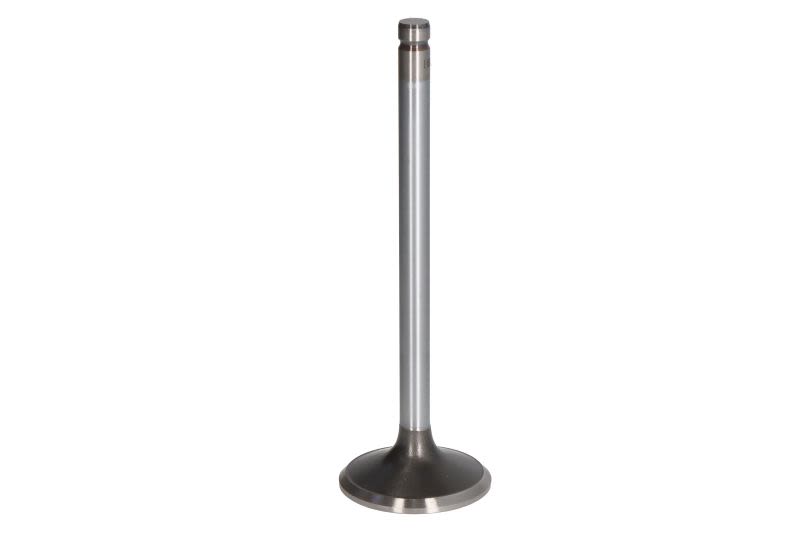 Válvula de escape MAHLE 2114681 para Chevrolet Camaro