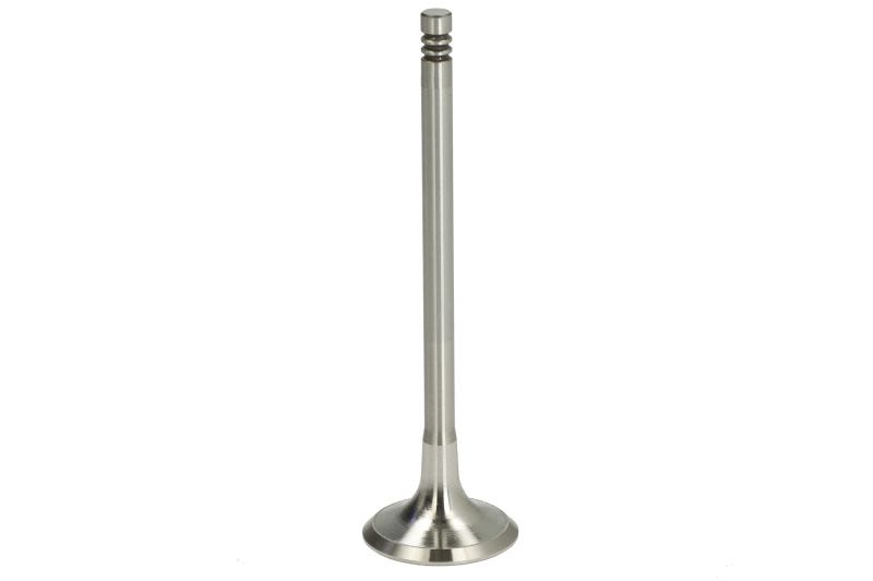 Válvula de escape AE V91926 para BMW Serie 3 (E30) 1982-1994