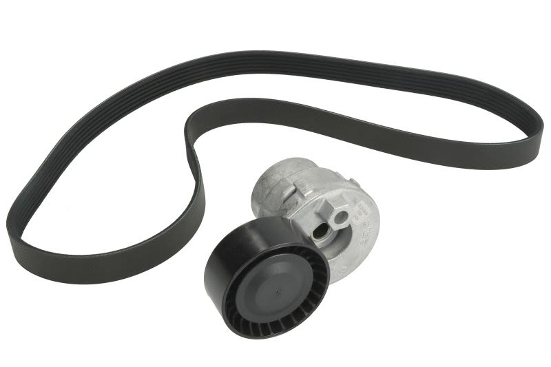 Juego de correa multinervada BOSCH 1 987 600 705 para Renault Clio II