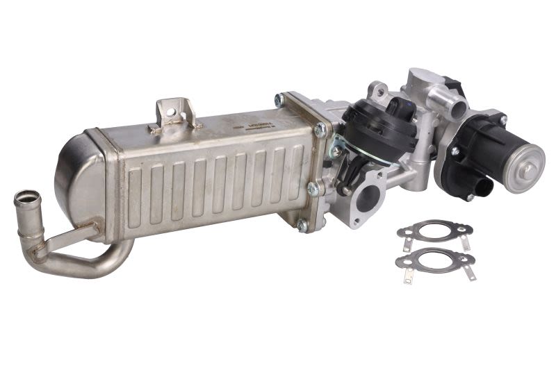 Válvula EGR BORG WARNER 710861D/1 para Audi A3