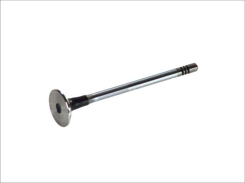 Válvula de escape FRECCIA R6398/BMCR para Citroen C3 I