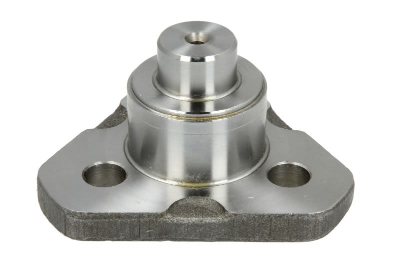 Perno rey CARRARO 128881-CR para Case IH 58