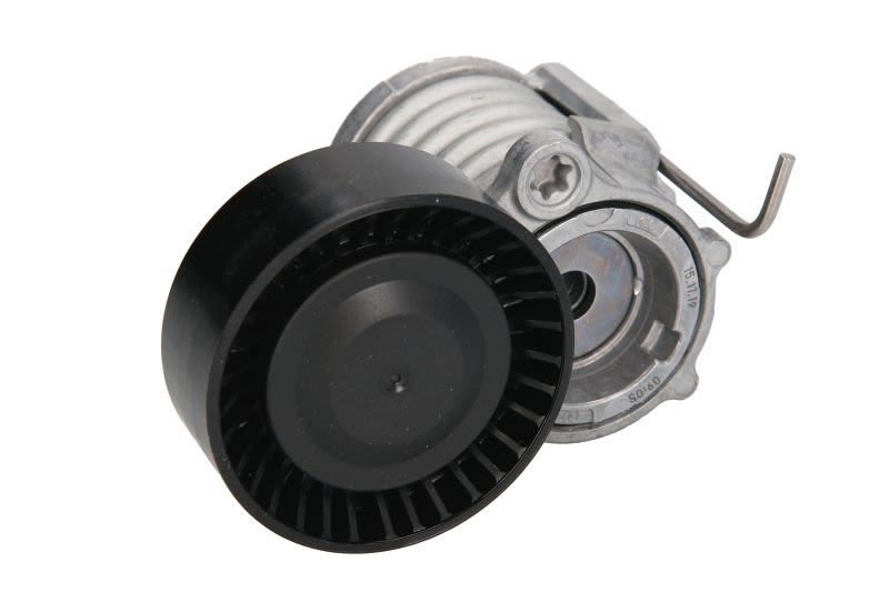 Palanca tensora de correa multicanal INA 534 0296 10 para Skoda Fabia I