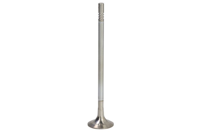 Válvula de escape TRW 331157 para Audi A3