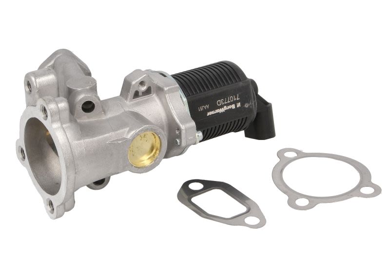 Válvula EGR BORG WARNER 710773D para Fiat Strad