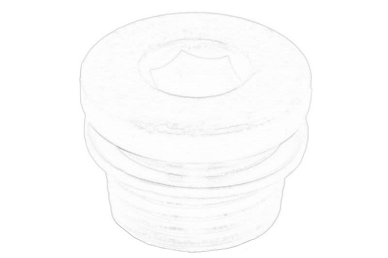 Tapón de cárter de aceite OE FIAT 55234829 para Peugeot Boxe