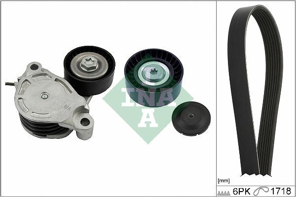Juego de correa multinervada INA 529 0516 10 para BMW Serie 2 (F45) 2013-2021